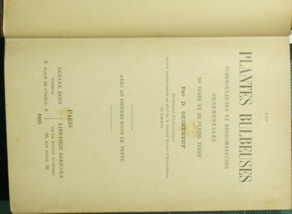 Les plantes bulbeuses