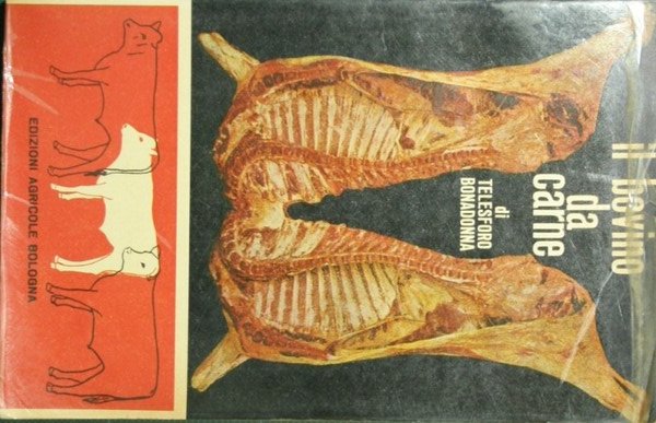 Il bovino da carne | Immagine principale