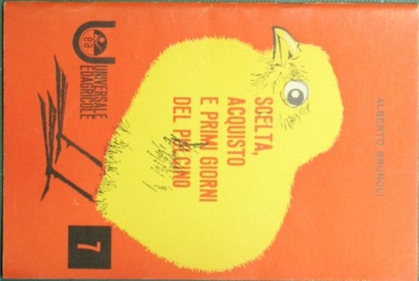 Scelta, acquisto e primi giorni del pulcino | Immagine principale