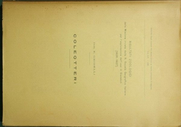 Coleotteri | Immagine principale