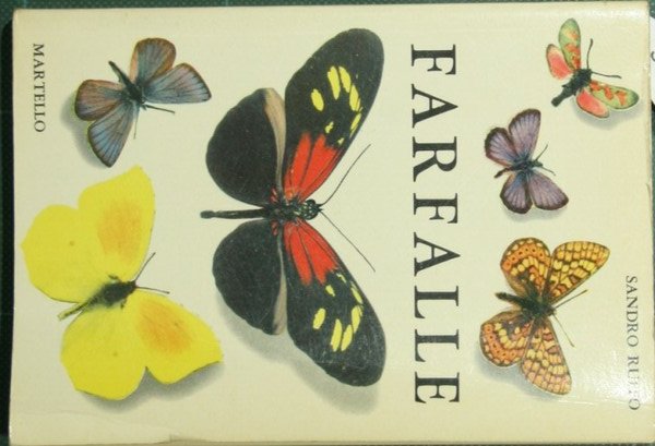 Farfalle | Immagine principale