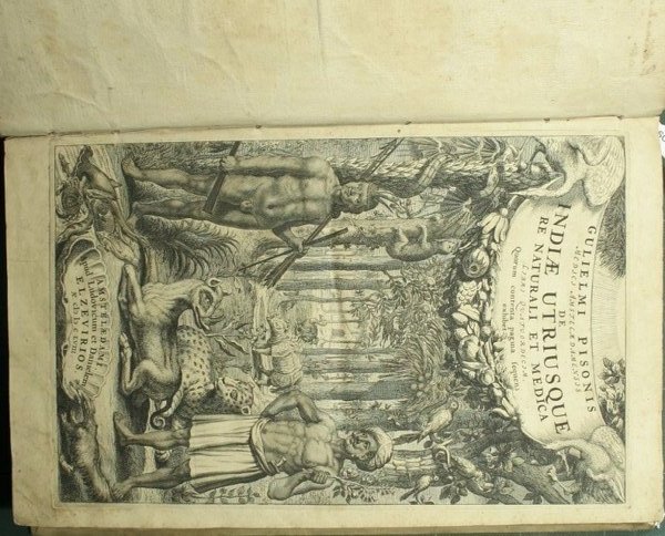 Gulielmi Pisonis medicj Amstelaedamensjs De Indiae utriusque re naturali et …