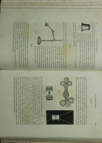 Il museo delle scienze e delle arti del dottor Dionigi …