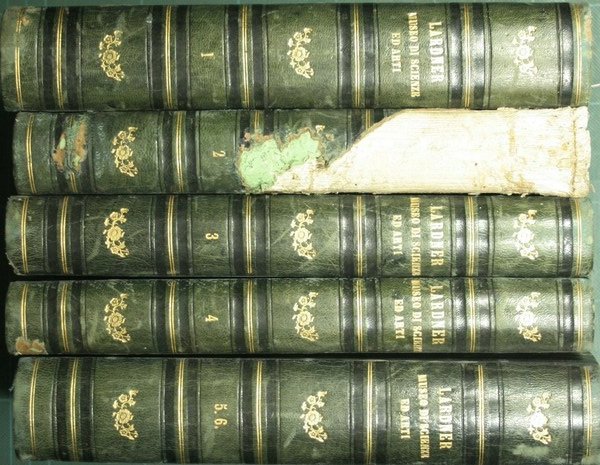 Il museo delle scienze e delle arti del dottor Dionigi …