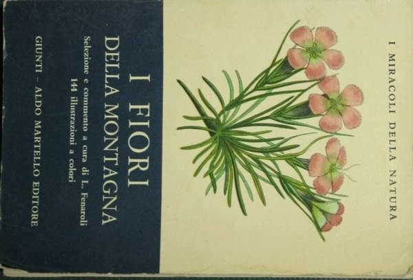 I fiori della montagna | Immagine Gallery 1