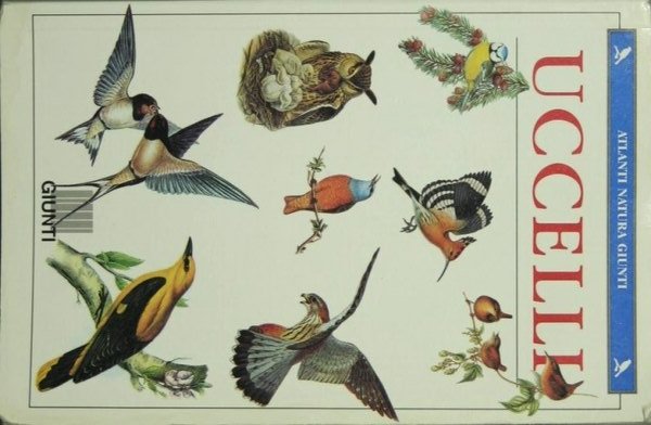 Uccelli | Immagine principale