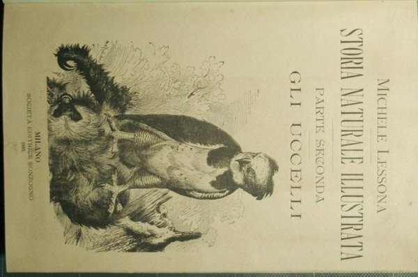 Storia naturale illustrata