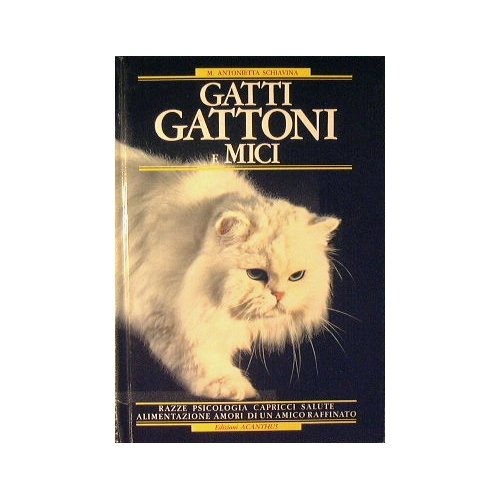 Gatti Gattoni e mici