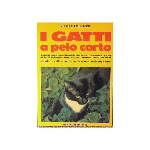 I gatti a pelo corto | Immagine principale