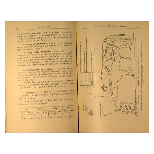 Gea. Elementi di agraria e industrie agrarie per le scuole …