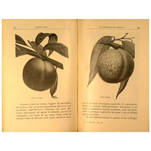 Gea. Elementi di agraria e industrie agrarie per le scuole …