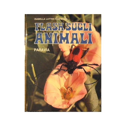 Flash sugli Animali
