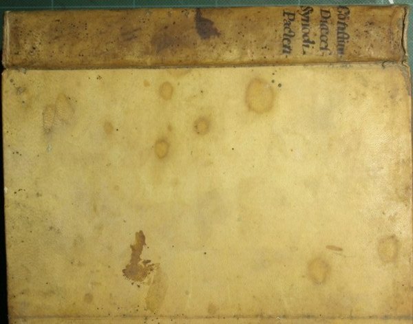 Constitutiones Dioecesanae Synodi quas Illustriss. ac Reverendiss. Dominus F.D. Matthaeus …