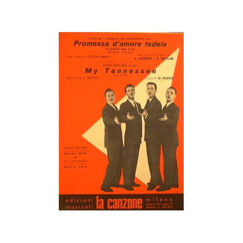 Premessa d'amore fedele ( un successo dei Diamons ,slow rock …