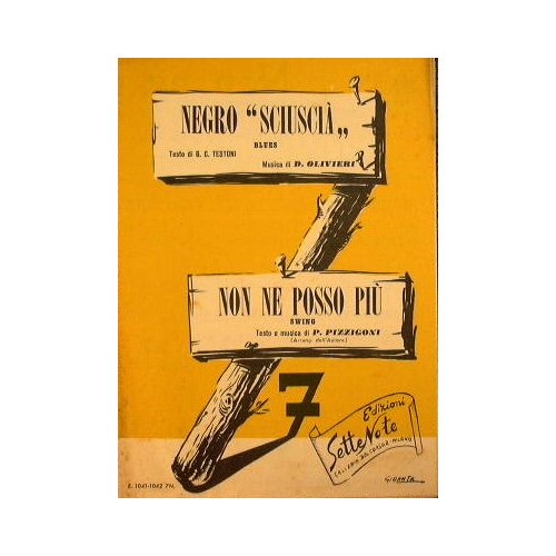 Negro siuscià ( blues ) - Non ne posso più …