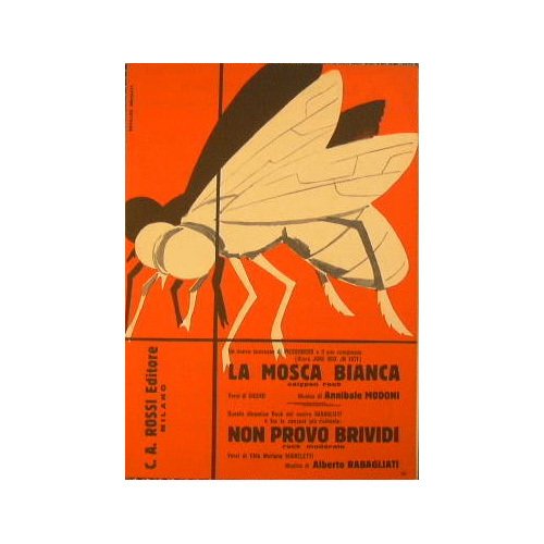 La mosca bianca ( calypso rock ) - Non provo … | Immagine principale