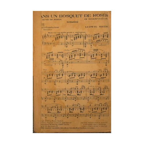 Dans un Bosquet de Roses ( romance ) ( moderato …