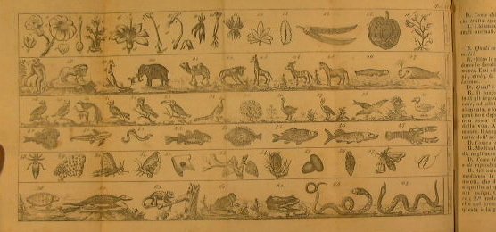 Enciclopedia dei fanciulli