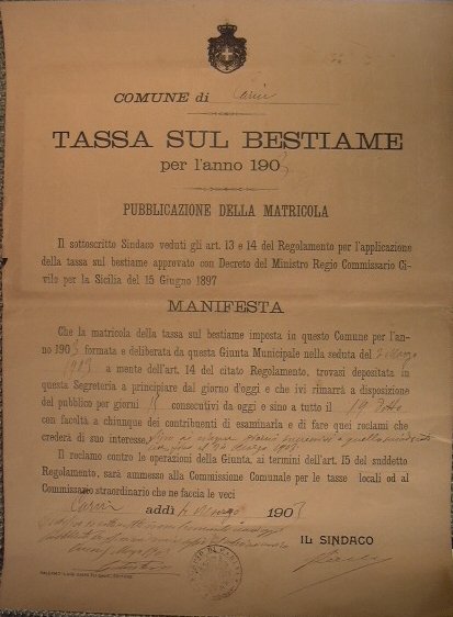 Bando Comune di Carini Tassa sul bestiame per l'anno 1903