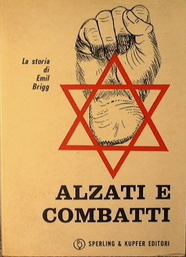 Alzati e combatti. La storia di Emile Brigg | Immagine Gallery 2