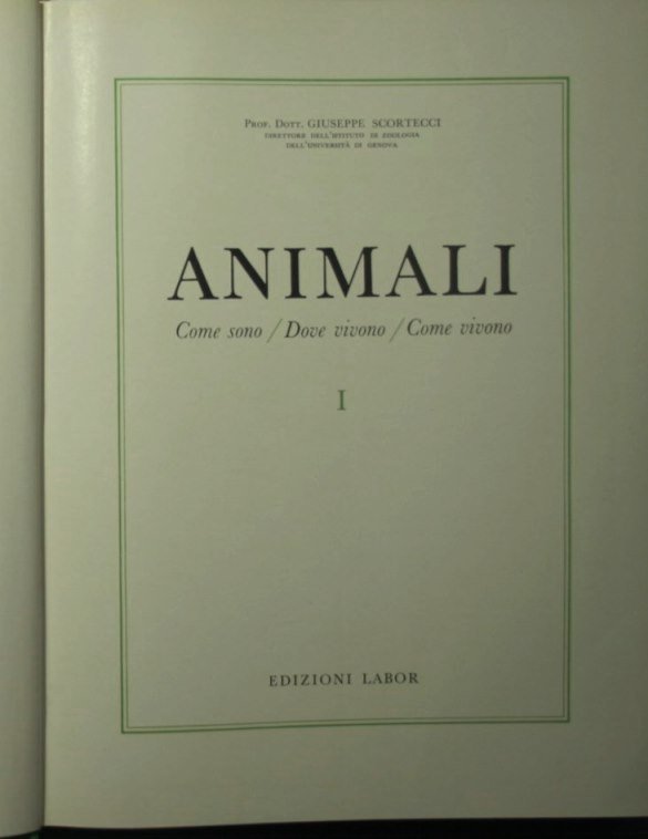 Animali