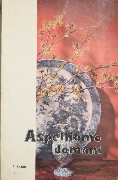 Aspettiamo domani | Immagine Gallery 2