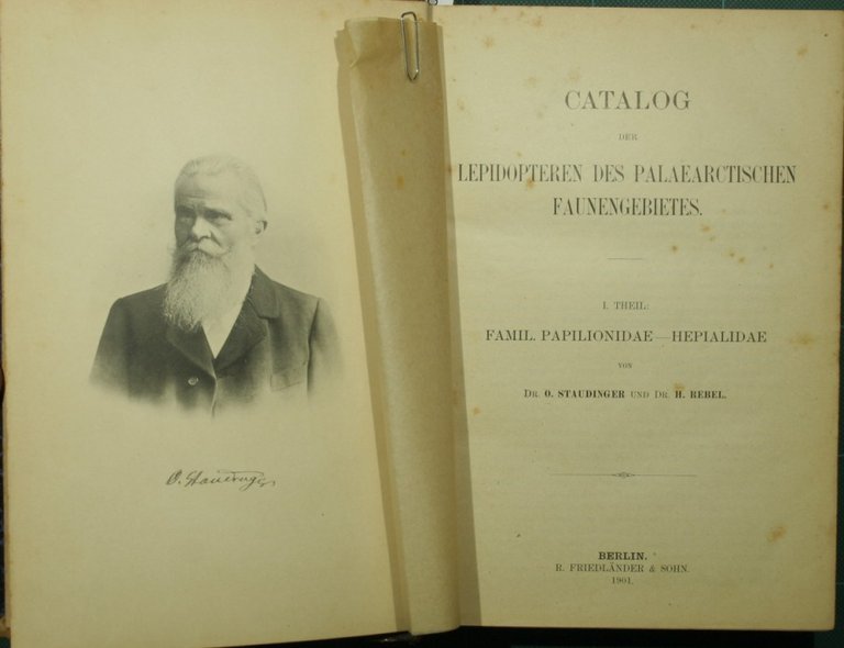 Catalog der lepidopteren des palaearctischen faunengebietes | Immagine Gallery 2