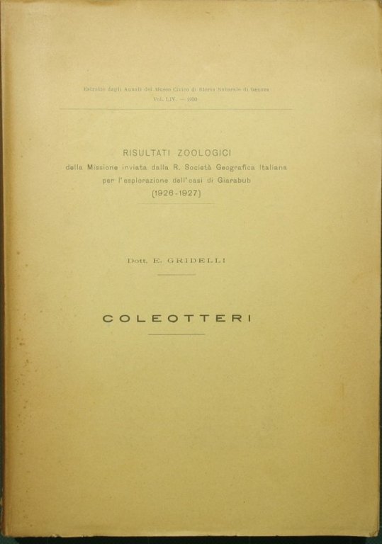 Coleotteri | Immagine Gallery 2