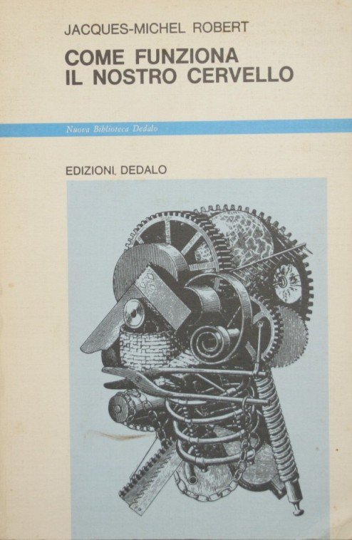 Come funziona il nostro cervello