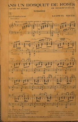 Dans un Bosquet de Roses ( romance ) ( moderato …