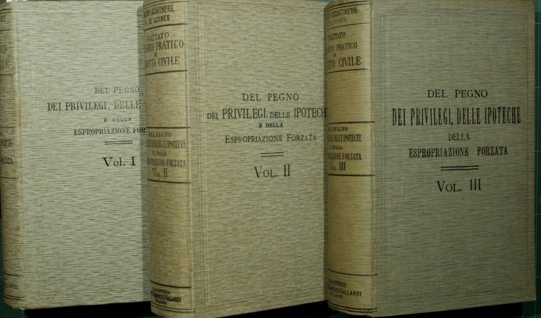 Del pegno. Dei privilegi, delle ipoteche e della espropriazione forzata. …