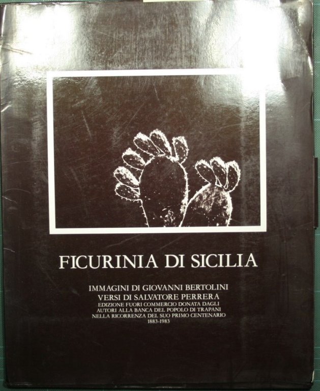 Ficurinia di Sicilia