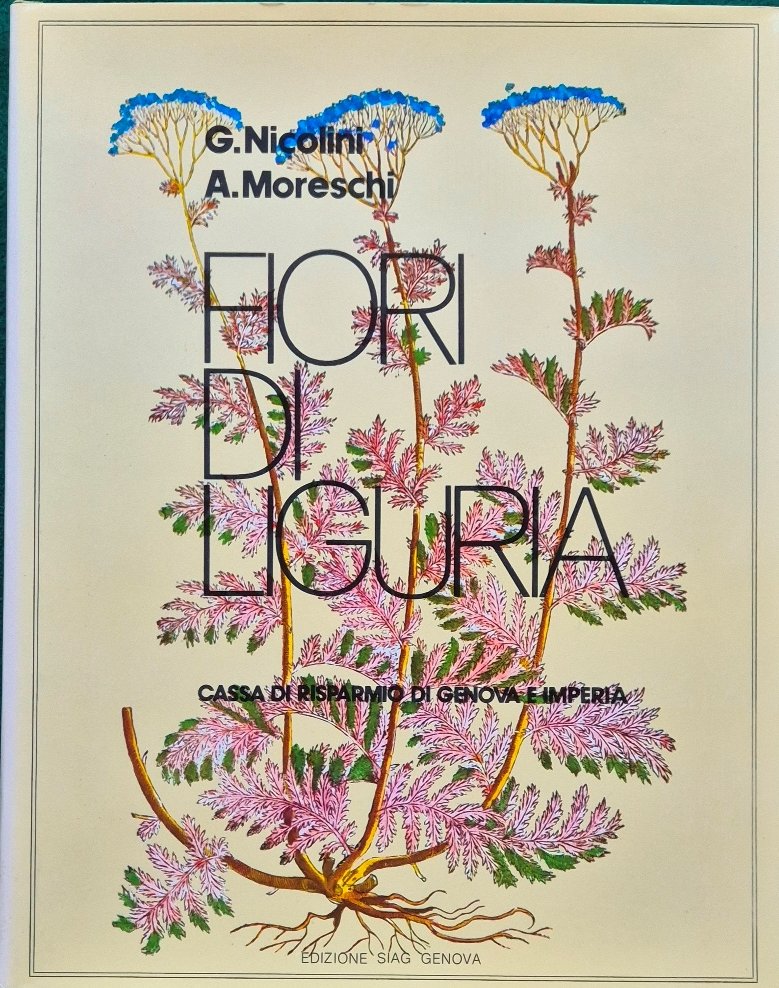 Fiori di Liguria