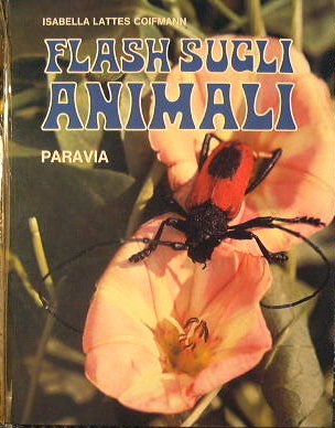 Flash sugli Animali