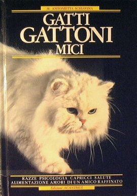 Gatti Gattoni e mici
