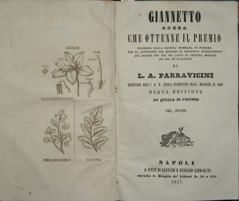 Giannetto