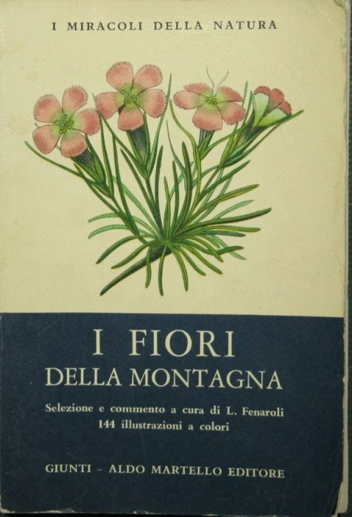 I fiori della montagna | Immagine Gallery 2