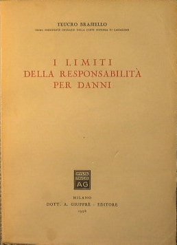 I limiti della responsabilità per danni