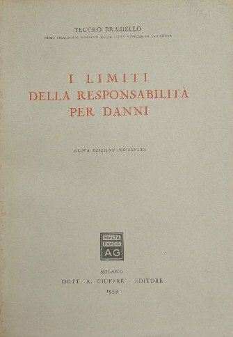 I limiti della responsabilità per danni