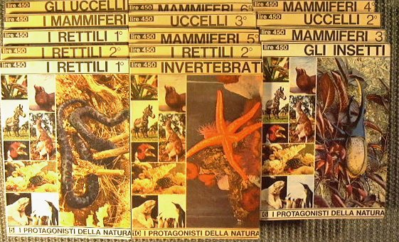 I protagonisti della natura