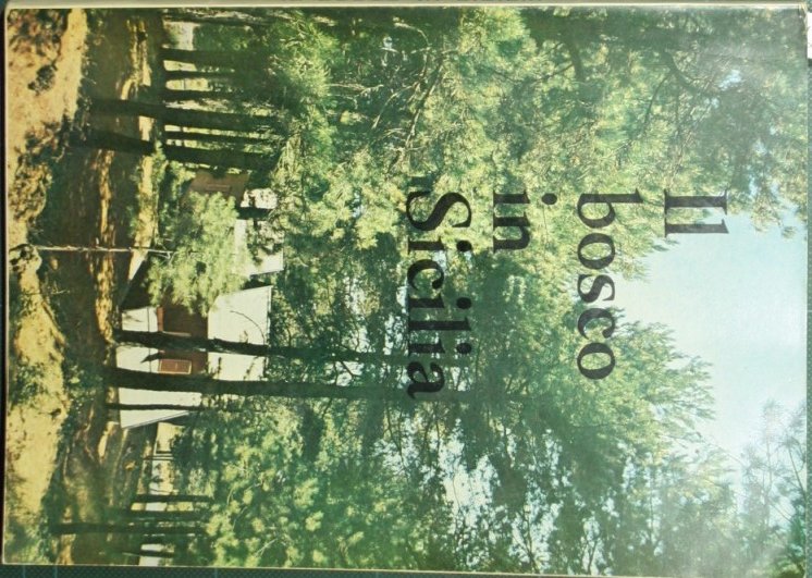 Il bosco in Sicilia