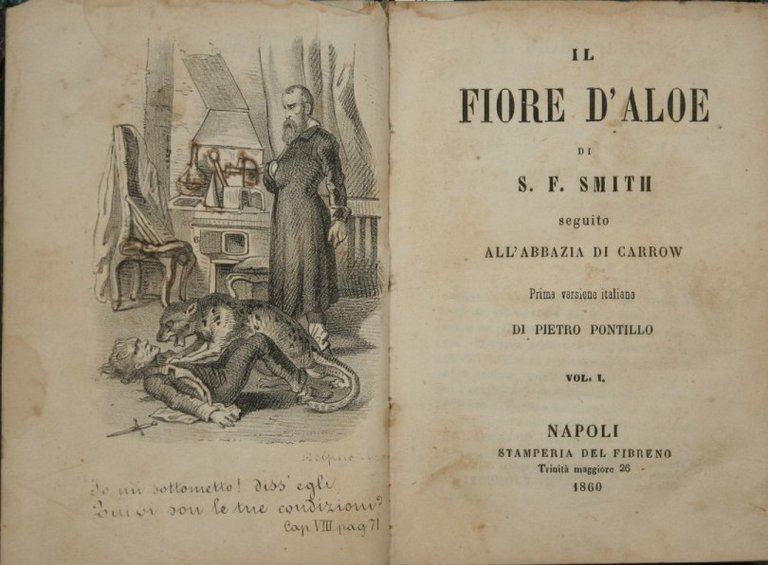 Il fiore d'aloe | Immagine Gallery 2