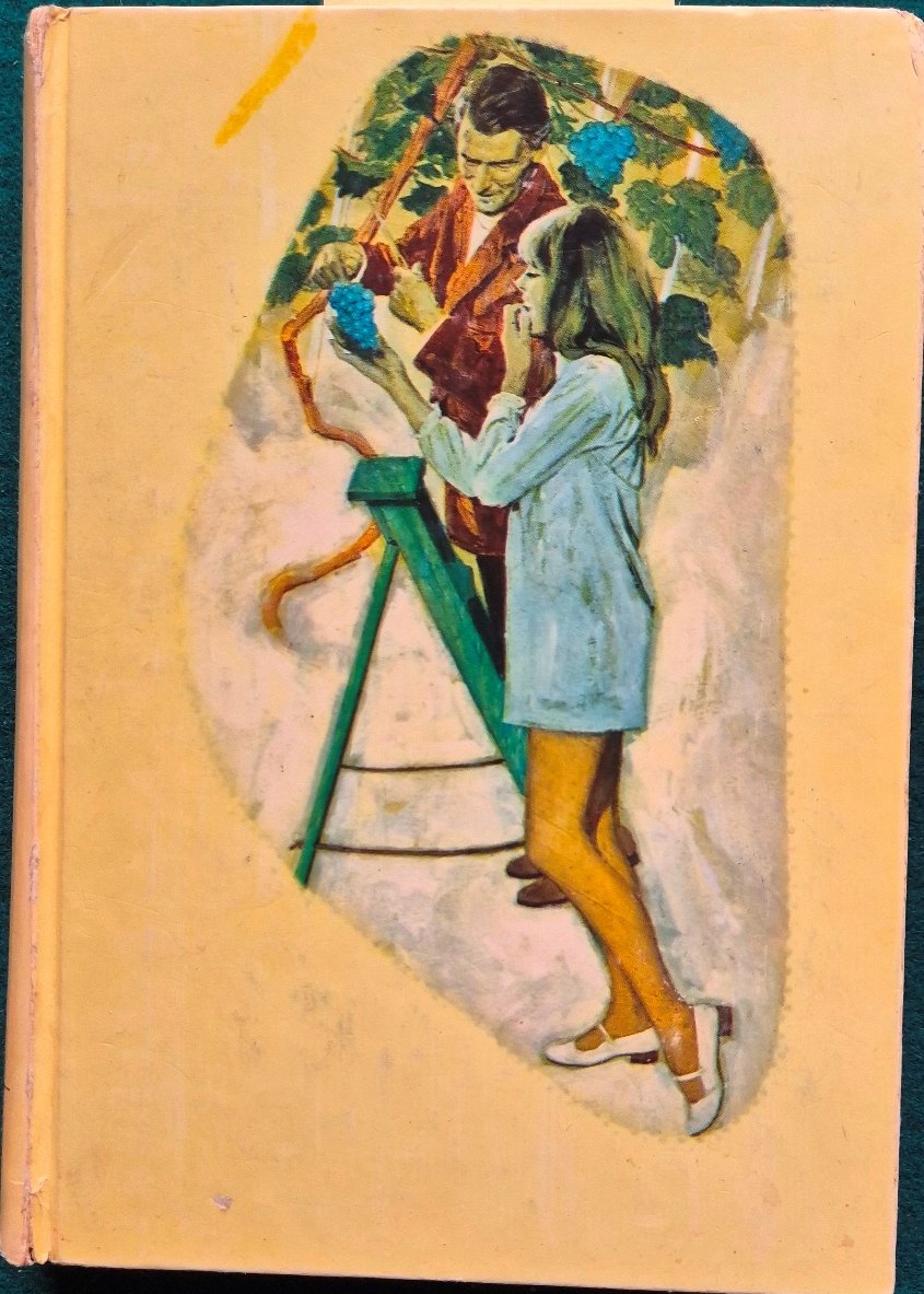 Il giardino a scacchiera | Immagine principale