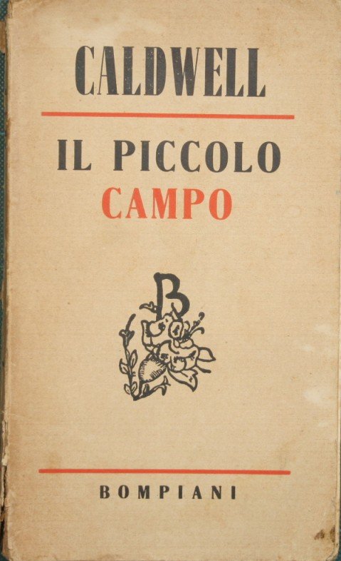 Il piccolo campo | Immagine principale