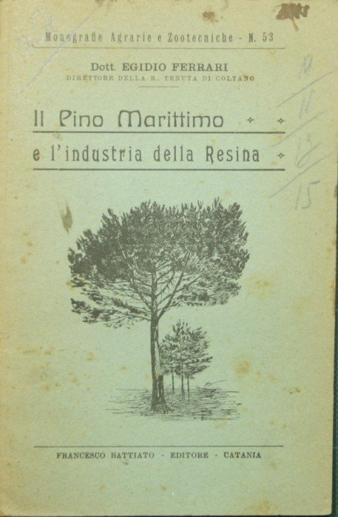 Il pino marittimo e l'industria della resina | Immagine Gallery 2