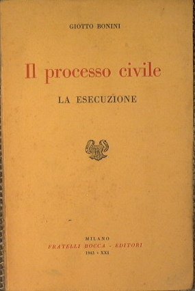 Il processo civile