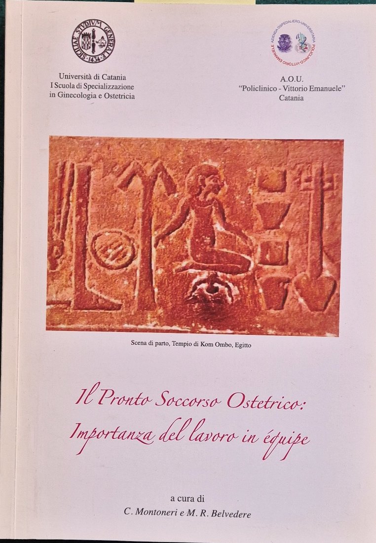 Il pronto soccorso ostetrico: importanza del lavoro in equipe