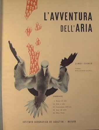 L'avventura dell'aria