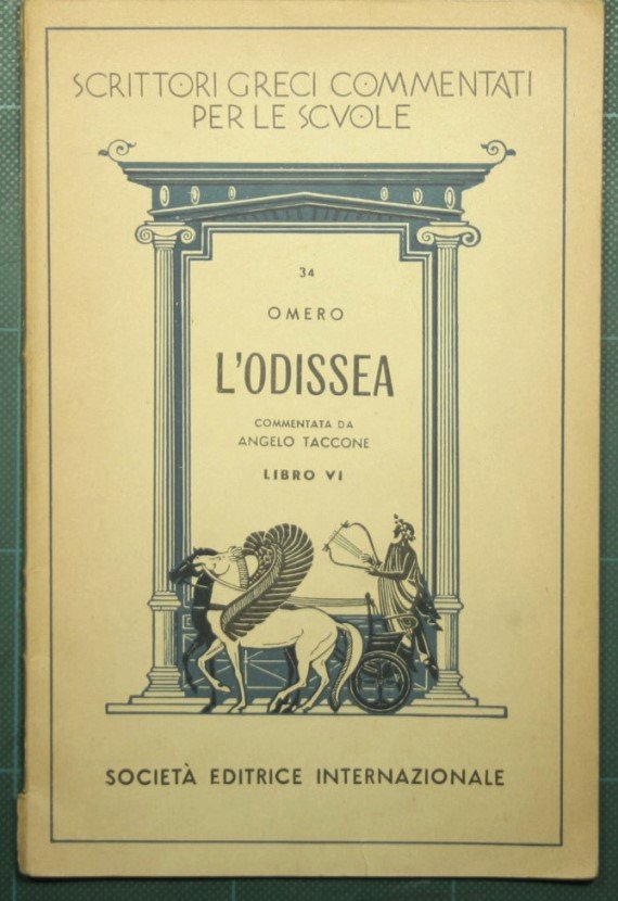 L'Odissea - Libro VI