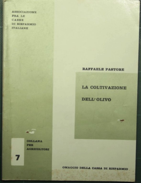 La coltivazione dell'olivo
